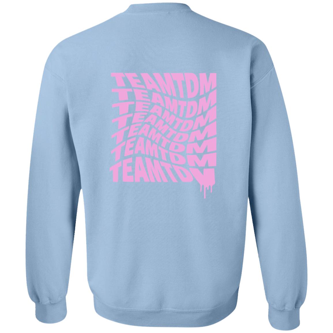 DanTDM Merch Store Shop Spiral Pink Team Tdmt Shirt DanTDM Merch Store Shop Spiral Pink Team Tdmt Shirt